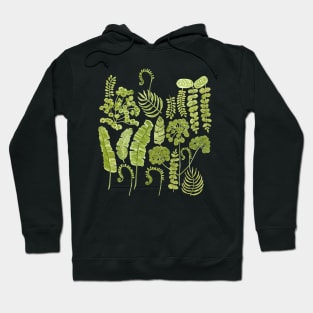 Green Monochromatic Foliage Hoodie